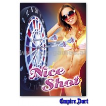 22L241 - Poster '' Nice Shot ''